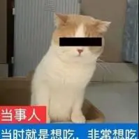 tsunami nomor togel hongkong Mungkinkah hakim setempat sengaja tidak menunjukkan muka kepada Tuan Zeng?